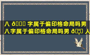 八 🐘 字属于偏印格命局吗男（八字属于偏印格命局吗男 🦆 人）